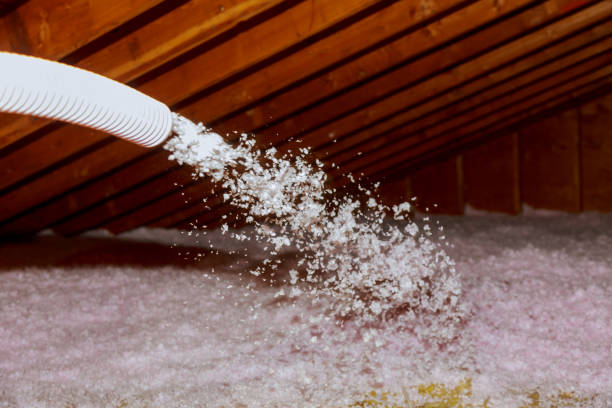 Best Blown-in Insulation  in Ravenswood, WV