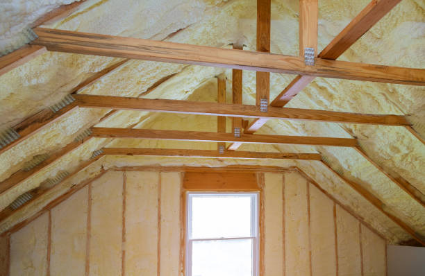 Best Insulation Contractors for Homes  in Ravenswood, WV