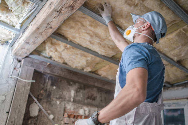 Best Affordable Insulation Services  in Ravenswood, WV