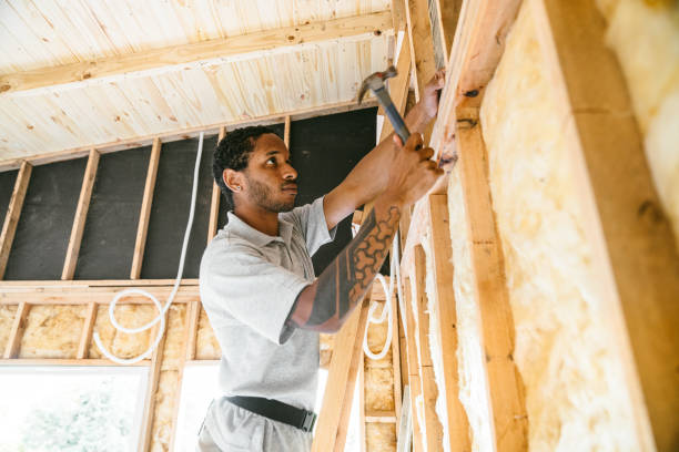 Best Insulation for New Construction  in Ravenswood, WV
