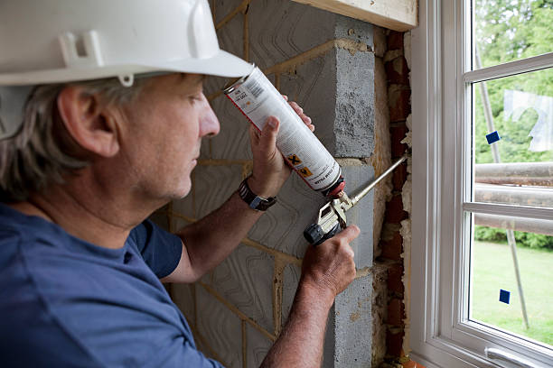 Best Spray Foam Insulation  in Ravenswood, WV