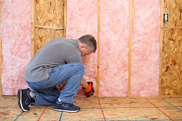 Best Spray Foam Insulation  in Ravenswood, WV