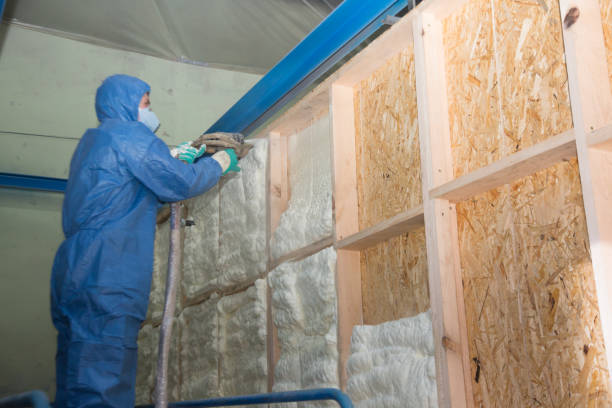 Best Insulation Removal  in Ravenswood, WV