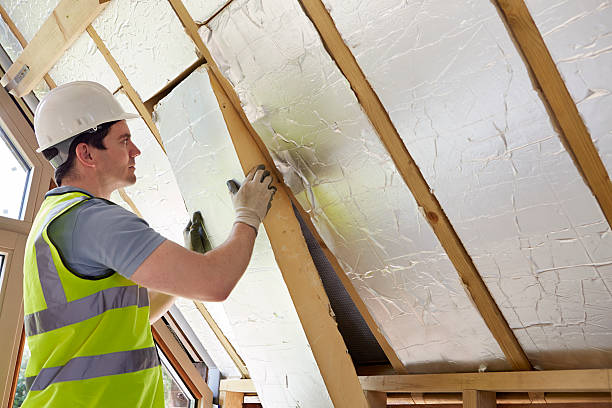 Best Fiberglass Insulation  in Ravenswood, WV