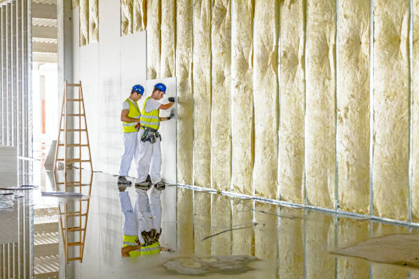 Insulation for New Construction in Ravenswood, WV
